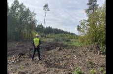 turniej drwali o srebrną siekierę nadleśniczego